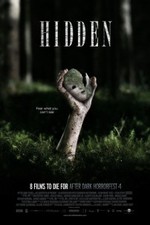 Ver Hidden Skjult (2009) online