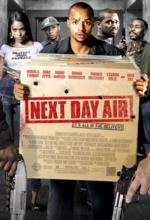 Ver Next Day Air (2009) online