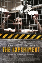 VER THE EXPERIMENT ONLINE