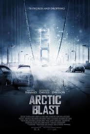 Ver Arctic Blast (2010) online