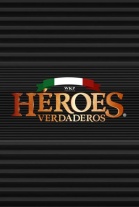 Ver Heroes Verdaderos (2010) online